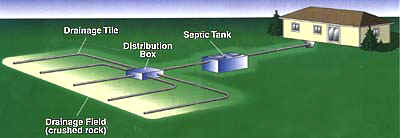 Picture of typical septic system layout used throughout Muskoka and Orillia.