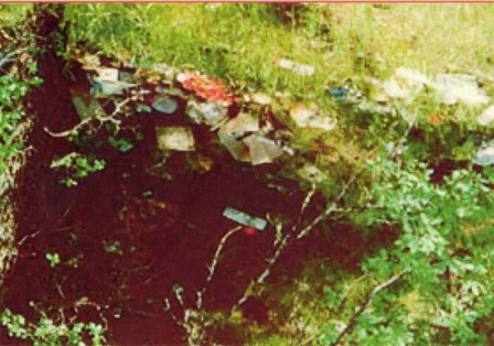 We will occasionally see this type of indirect evidence on home, cottage, and commercial, inspections in the Orillia, Gravenhurst, Bracebridge, Dorset, Parry Sound, and throughout Muskoka area. Small accumulations  of trash dumped at the back or sides of the property. Trash is usually half hidden in the bushes or pushed partway down a slope as it is here.